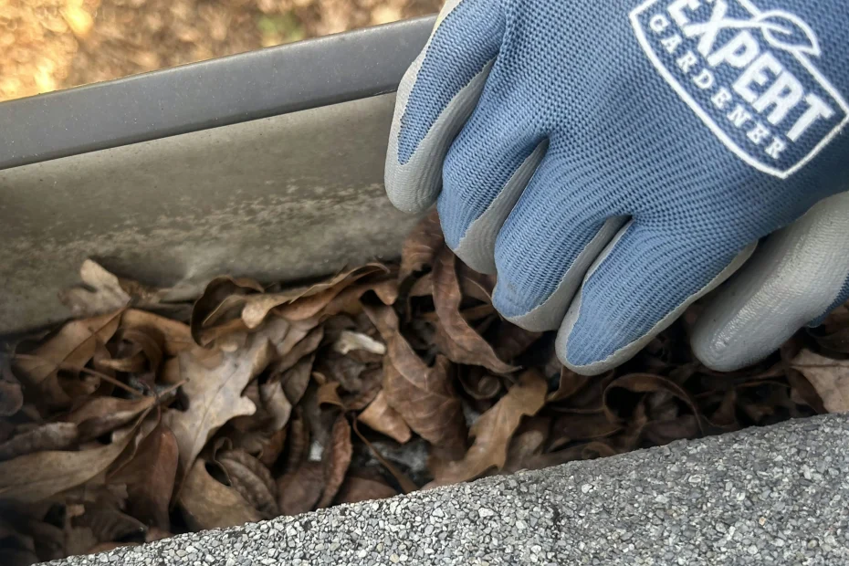 Grapevine Gutter Cleaning
