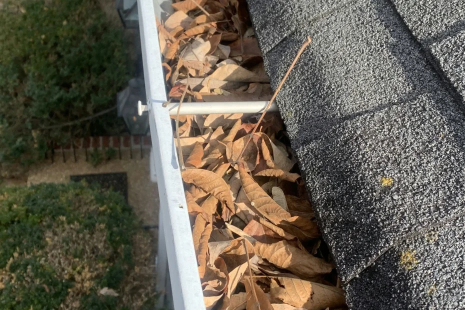 Grapevine Gutter Cleaning