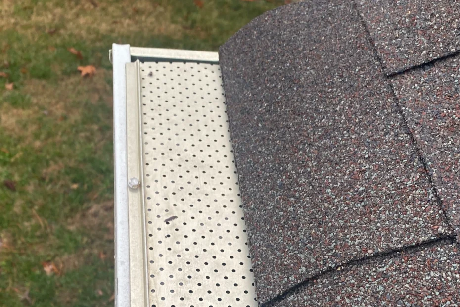 Grapevine Gutter Cleaning